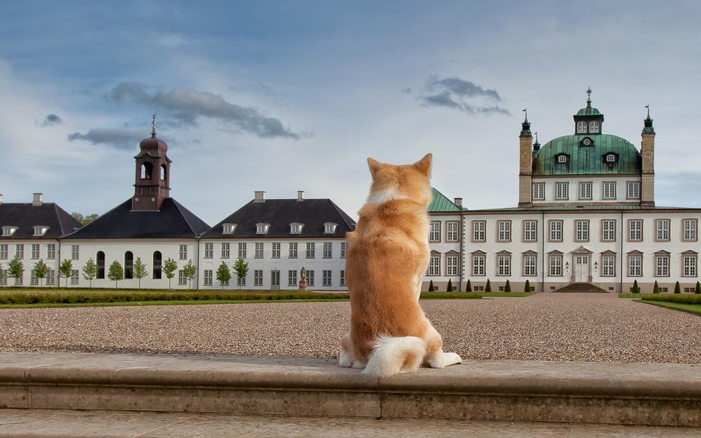 Fredensborg Vandrerhjem, I Kongens Baghave Zewnętrze zdjęcie